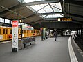 Gleisdreieck (lower platform, U2)