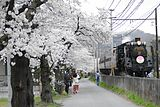 長瀞（埼玉県長瀞町）