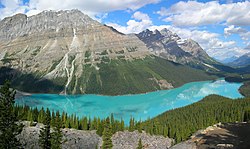 Peyto-Lago en Nacia Parko Banff