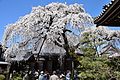 Enmei-ji / 圓明寺