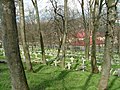 Soldatenfriedhof