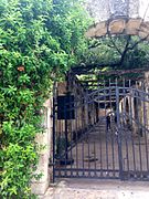 Alamo Garden Gate.jpg