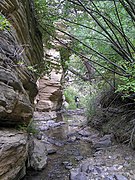 Hiking Sand Creek, Dixie National Forest