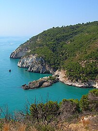 Coast near Vieste