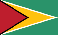 Flag of Guyana