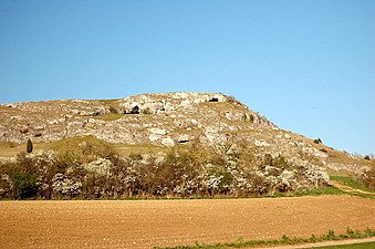 Ofnethöhlen, Holheim