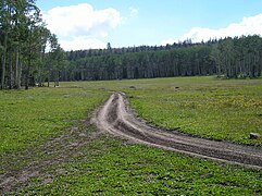 ORV Trail in Reed's Valley from FS Road 381, Dixie National Forest