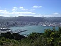 Wellington seen from Mount Victoria lookout