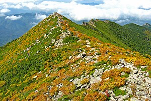 金峰山