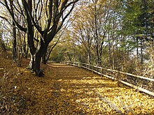 Herbststimmung am Insulaner