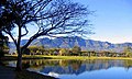 Español: Parque Metropolitano La Sabana English: La Sabana Metropolitan Park