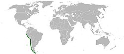 Distribución de C. concholepas