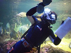 Acquario di Genova e1.JPG