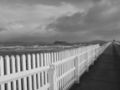 Southerly storm in Wellington Harbour. View from the Petone Wharf, with Matiu/Somes island in the background.