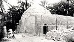 Various photographs of Abu Loza Bathhouse from the past depict the site surrounded by dense palm forests on all sides. These images date back to periods between the 1960s and 1980s, showcasing the lush agricultural landscape that once flourished around the bathhouse.