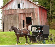 A black buggy is drawn by a horse past an old red barn