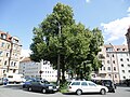 Der Olof-Palme-Platz im Stadtteil Veilhof