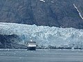 Die Gletscherhöhe von 110 Metern lässt sich erst im Vergleich mit dem Kreuzfahrtschiff ermessen