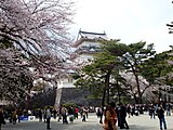 小田原城址公園・城山公園（神奈川県小田原市）