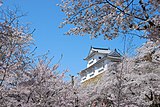 鶴山公園（岡山県津山市）