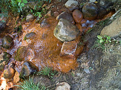 Eaux de la source de Quézac.