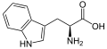 L-Tryptophan (Trp / W)