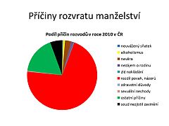 Priciny rozvodu 2011.jpg