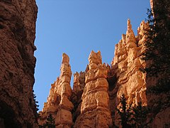 Bryce Canyon Hoodoos