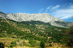 Monte Parnaso a ovest della Beozia