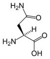 L-Asparagin (Asn / N)