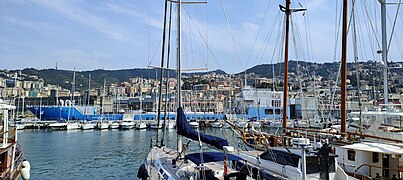 Acquario di Genova 2.jpg