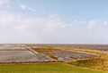 Nationalpark Schleswig-Holsteinisches Wattenmeer