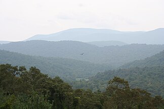 Blick in die Blauen Berge am Blue Ridge Parkway