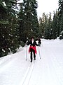 Cross-country skiing