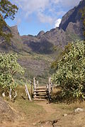 Stile on Réunion