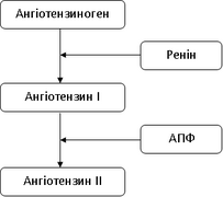 Ренін-ангіотензинова система.png