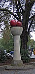 Kirschensäule Münster