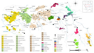 Vignoble du Val de Loire.