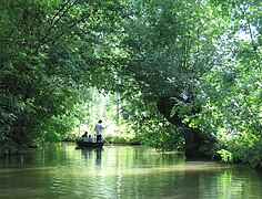 Fuchtgebeed bi Marais poitevin.