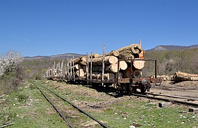 Flachwagen für den Holztransport