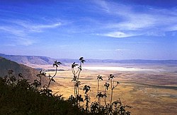 Veduta del cratere di Ngorongoro