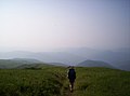 Grassy balds on the Roan Highlands straddling the North Carolina/Tennessee border