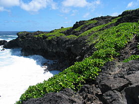 Kipahulu region, Haleakala National Park