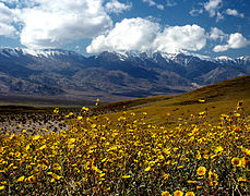 Death Valley San Bernardino