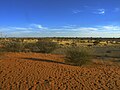 English: Kalahari Desert Македонски: Пустината Калахари