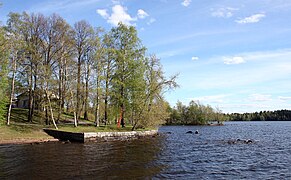 Hatanpään arboretum.jpg