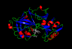 Pepsin 3A