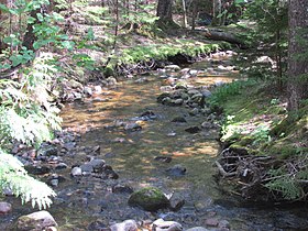 Stanley Brook