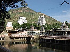 Tiruvanamalai templomkörzete