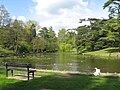 Stratford Park lake, Stroud